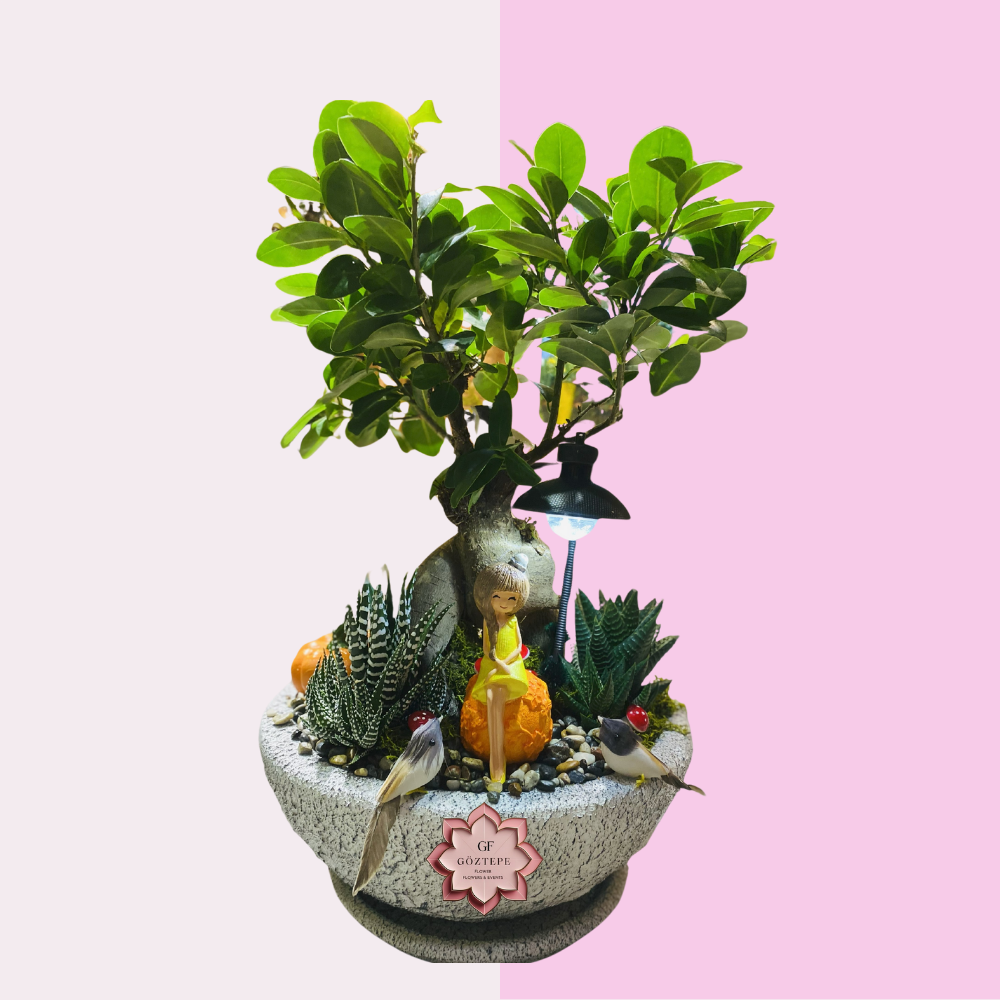 Büyük Bonzai Aranjman | Large Bonsai Arrangement Teraryum