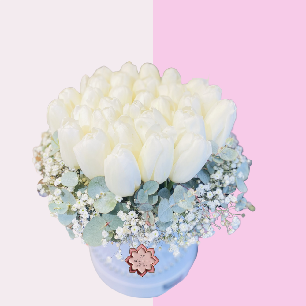 Beyaz Düş | White Dream Box