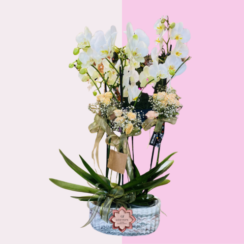 Çiçek Zarafeti | Blossom Elegance