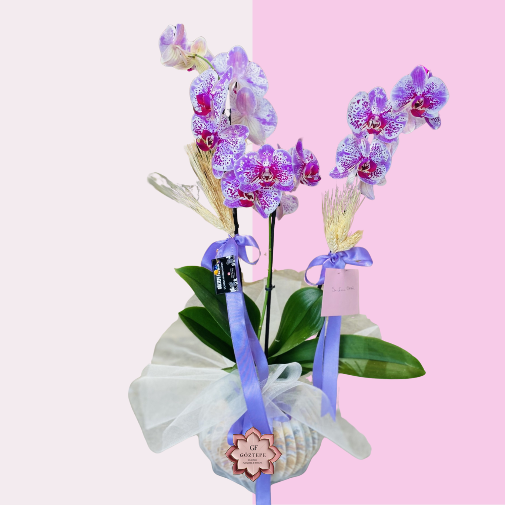 Ebruli Büyü | Marble Charm