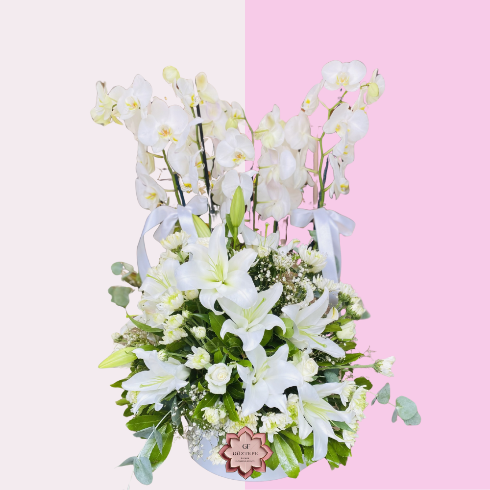 Saf Beyaz | Pure White