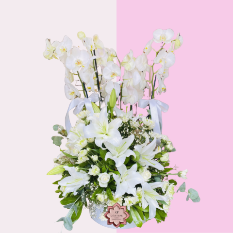 Saf Beyaz | Pure White