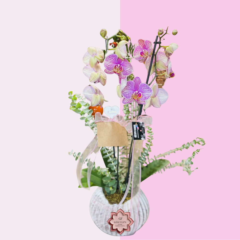 Pembe Işık | Pink Glow