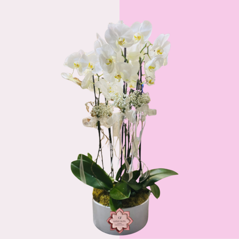 Kristal Beyaz | Crystal White