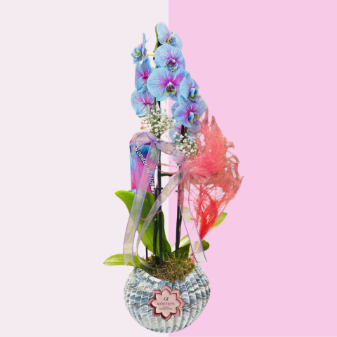 Renkli Rüya | Colorful Dream