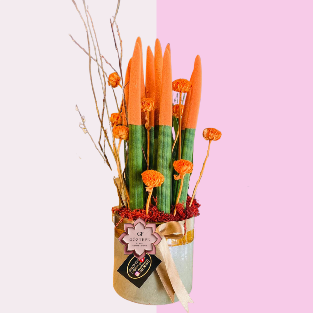 Renkli Doğa | Colorful Nature