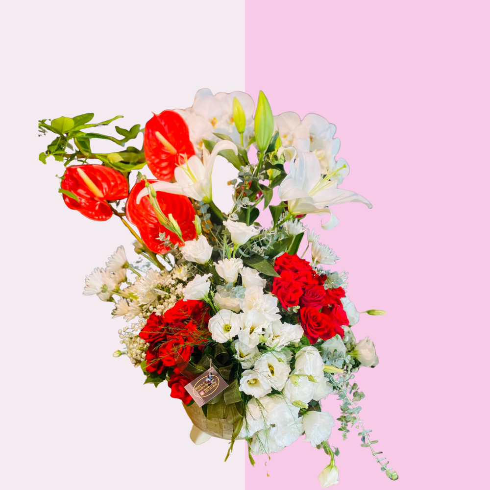 Kırmızı Zarafet / Crimson Grace