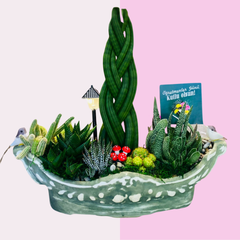 Yeşil Bilgelik / Green Wisdom