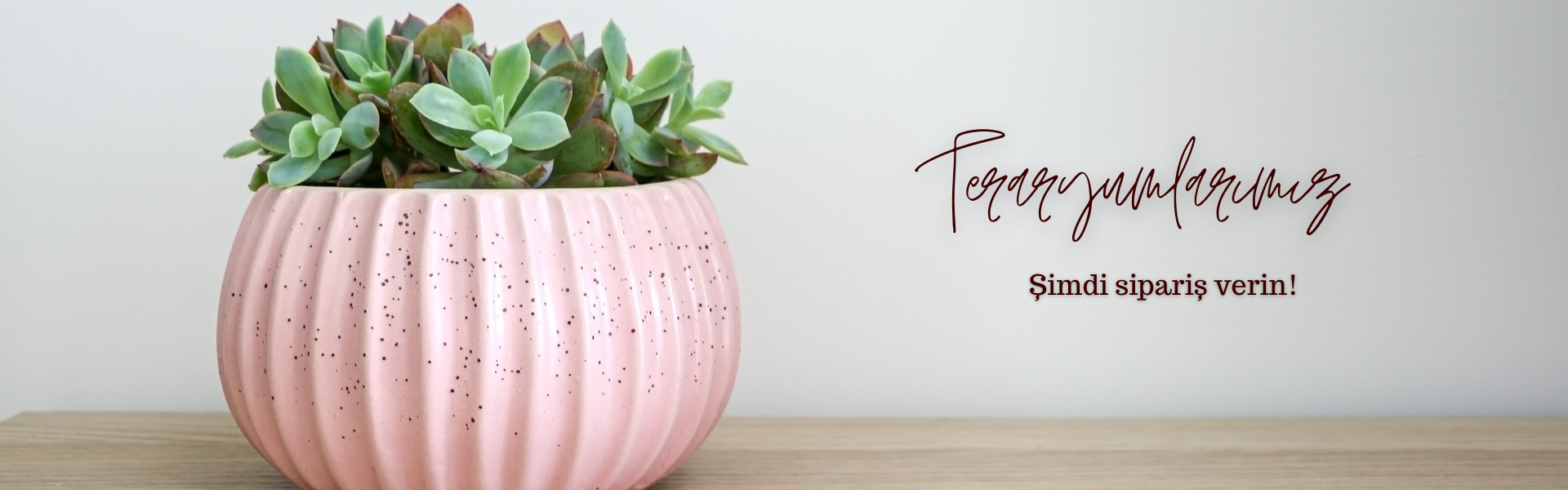 El yapımı teraryumlar – doğadan ilham alan cam bahçeler | Göztepe Flower